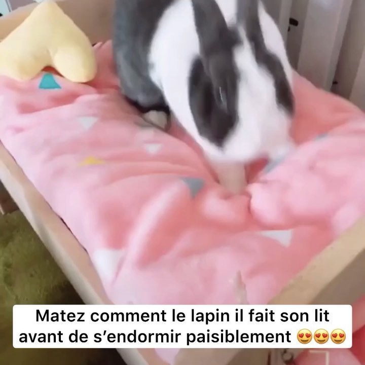Vidéo virale France