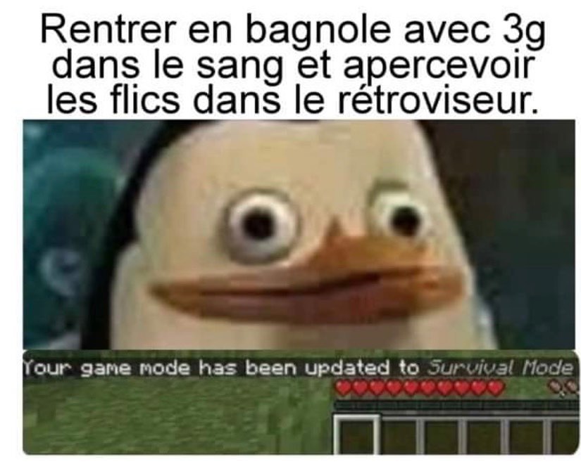 Vidéo drôle du moment